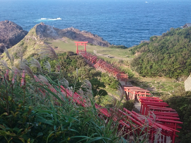 山口県のおすすめ神社5選！御朱印におすすめな神社も紹介！ たまこブログ